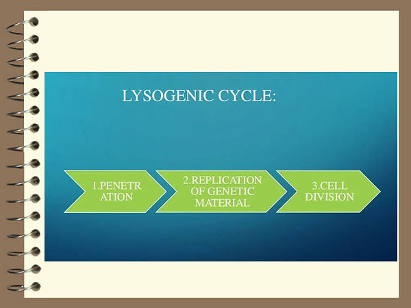 Slide93.JPG
