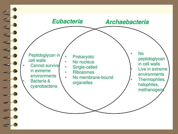 Slide90.JPG