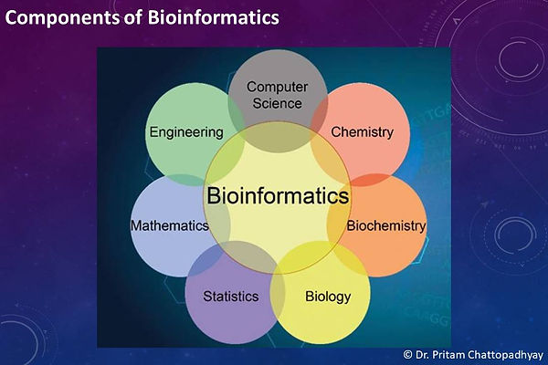 Slide12.JPG