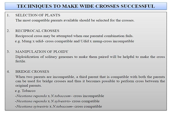 Slide96.JPG