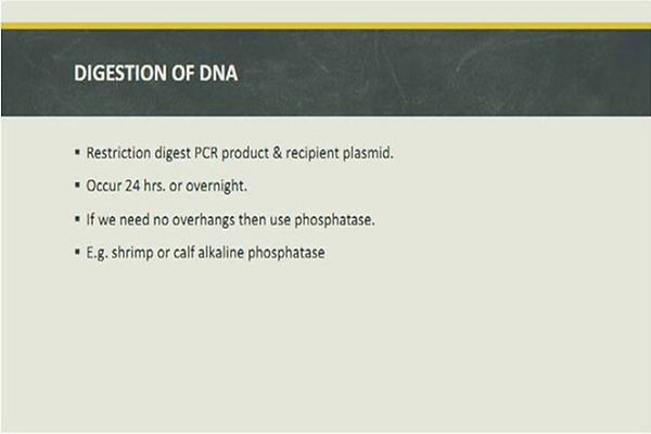 Slide52.JPG
