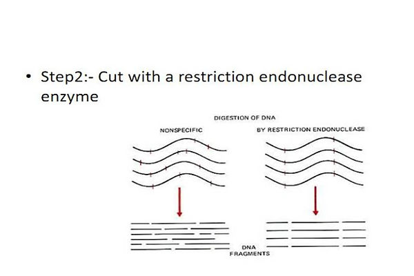 Slide73.JPG