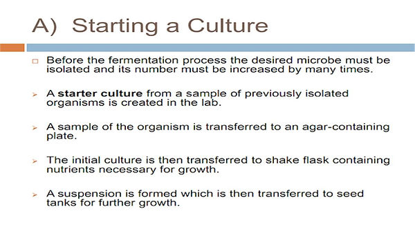 Slide262.JPG