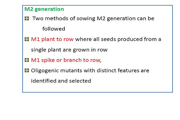 Slide19.JPG