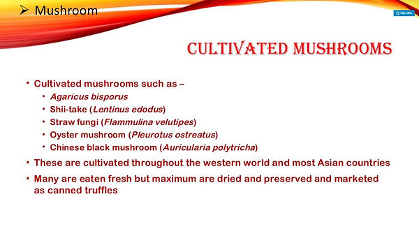 Slide16.JPG