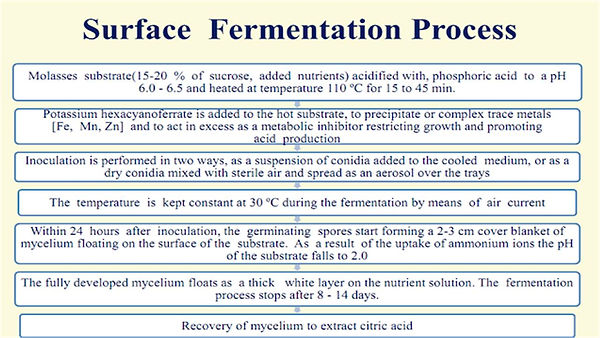 Slide195.JPG