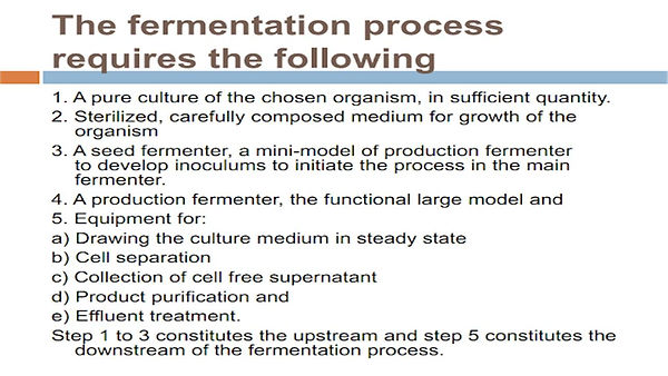 Slide258.JPG