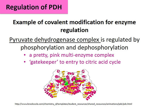 Slide57.JPG