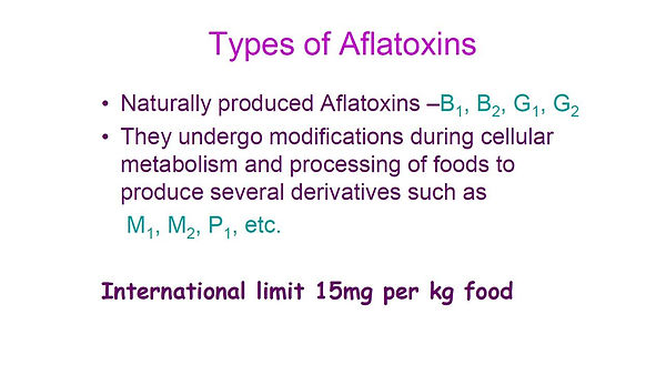 Slide96.JPG