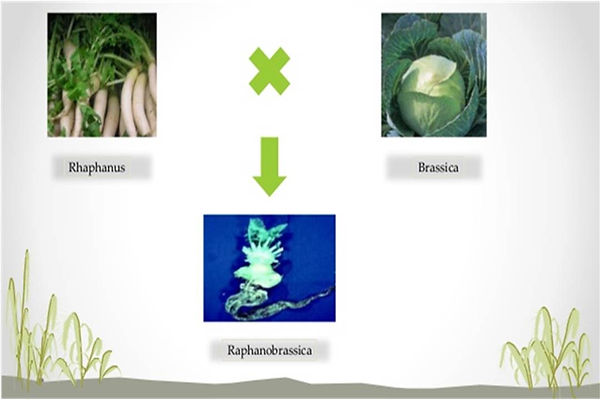 Slide112.JPG