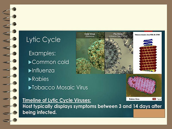 Slide92.JPG