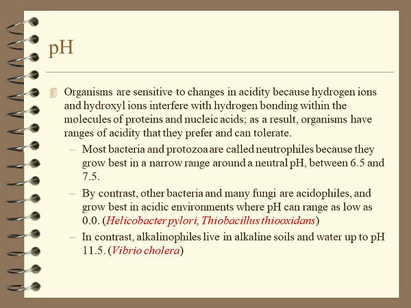 Slide17.JPG