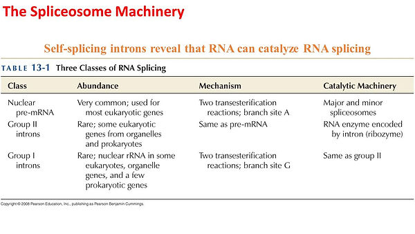 Slide34.JPG