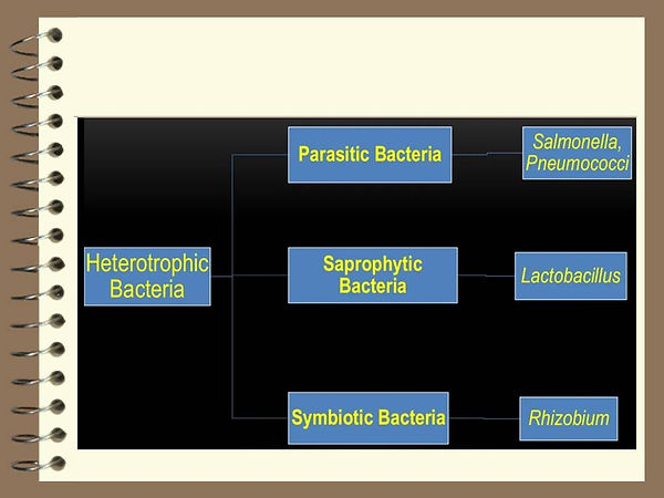 Slide171.JPG