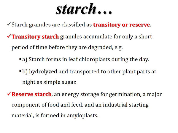 Slide5.JPG