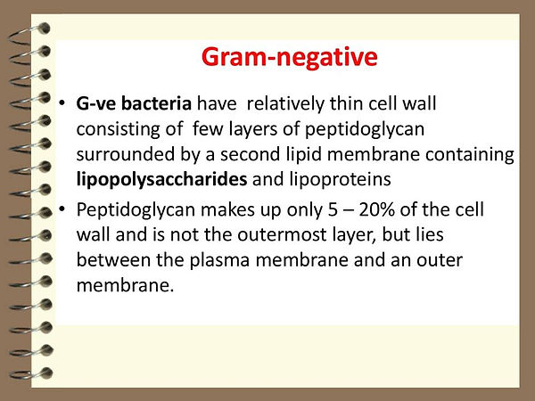 Slide132.JPG