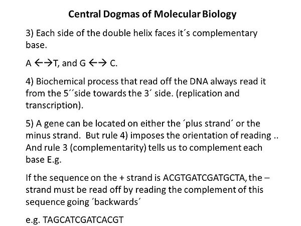Slide6.JPG