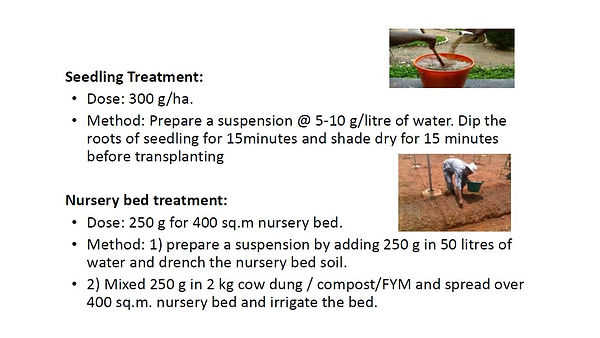 Slide164.JPG