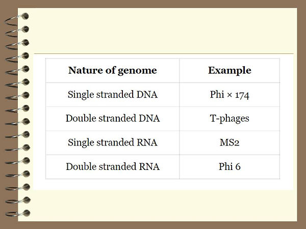 Slide57.JPG