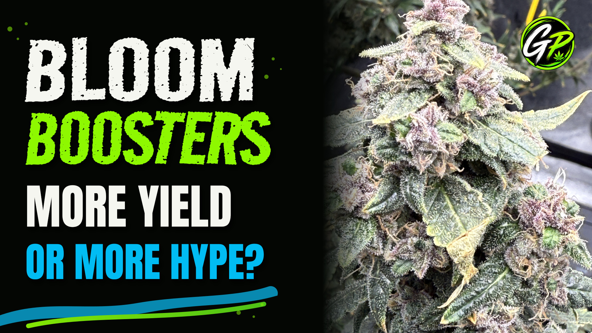 Do Bloom Boosters Actually Give You Bigger Buds?
