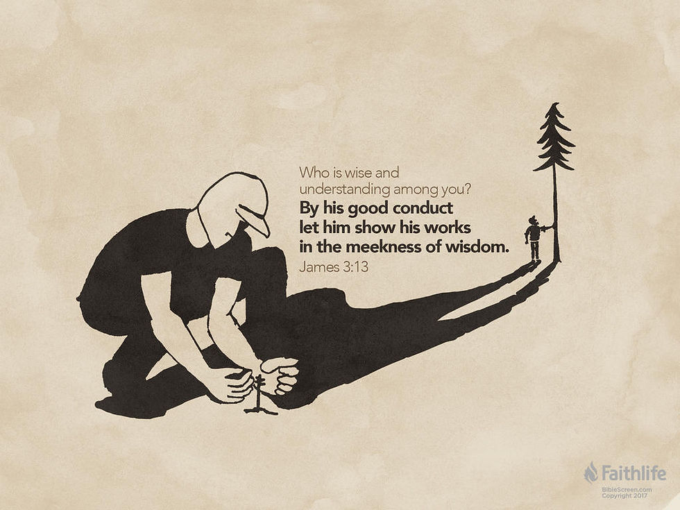 Wisdom