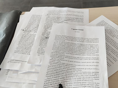 Correzioni a penna, una lettura lenta di ogni capitolo.