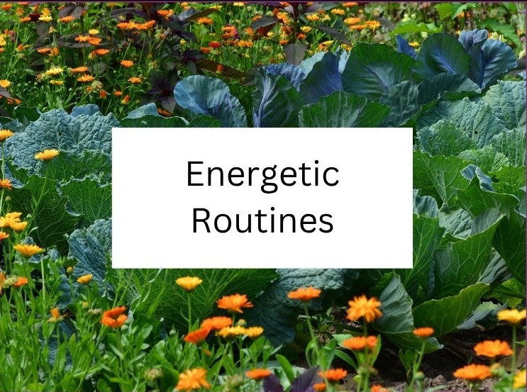 Addicted to You 2026 - 6 Energetic Routines.jpg