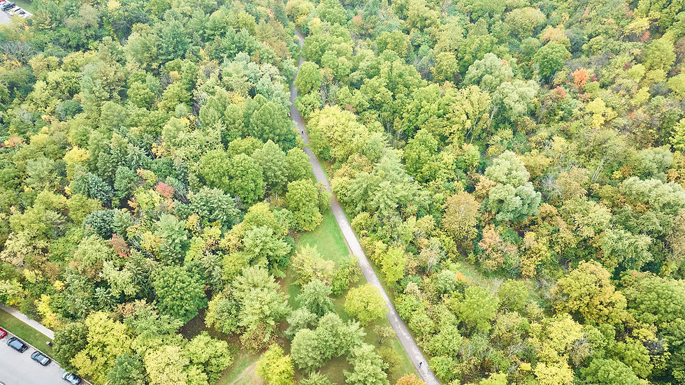104-DJI_0606.jpg