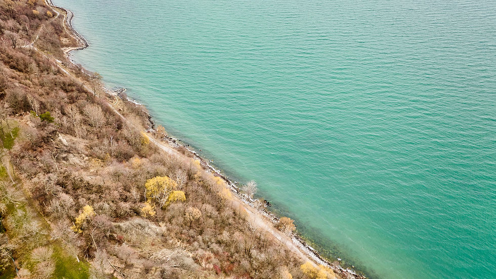 123-DJI_0800.jpg