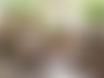 10 Herbs That Can Support Healthy Weight Loss Naturally