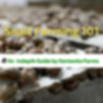 Snail farming in ghana
