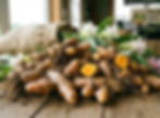 Fresh turmeric 