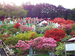 ツツジ公園