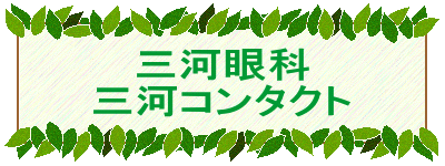 三河コンタクト