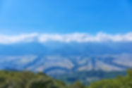 AdobeStock_395757126.jpeg