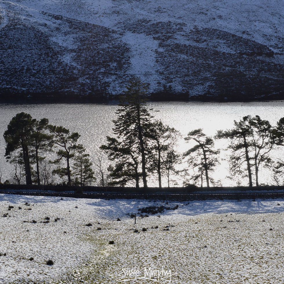 Glencorse Reservoir