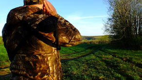 The Turkey Hunting Paradox