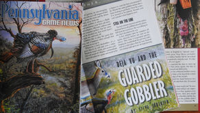 The Déjà Vu Gobbler