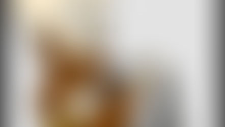 Elmer Fudd’s Gun: An Update