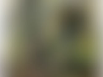 PA Game News, May 2017—a Must-Read for Turkey Hunters