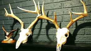 A Throwback to America’s Old West