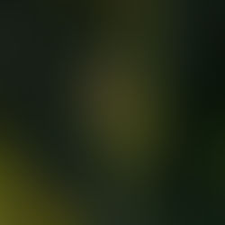 Just Beyond the Villa: Top Things to Do near Alankara