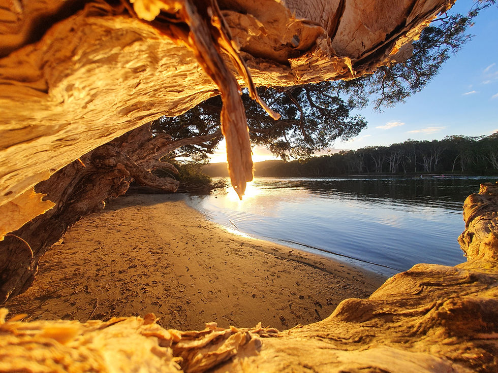 Find a Link Avoca Kayak Club