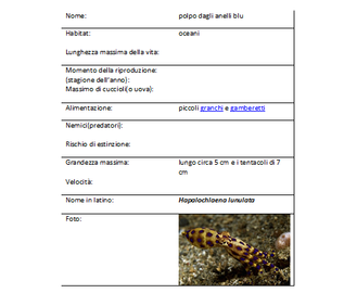 Polpo dagli anelli blu