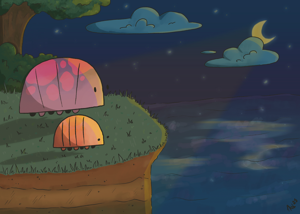 under the stars