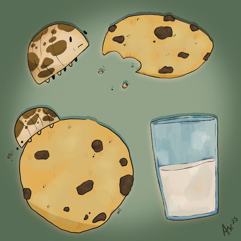 Nothing like (oat) milk and cookies