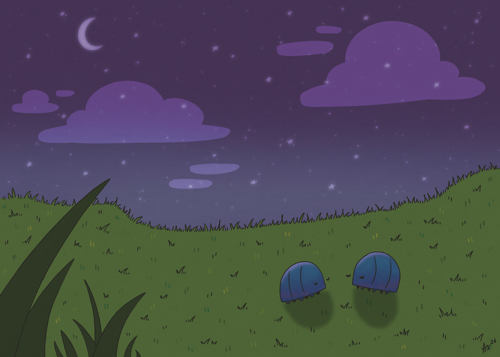 a night with you