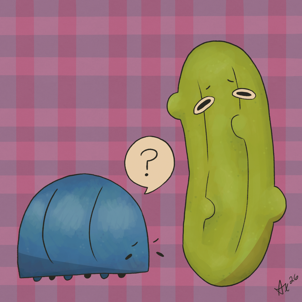 i'm not sure
