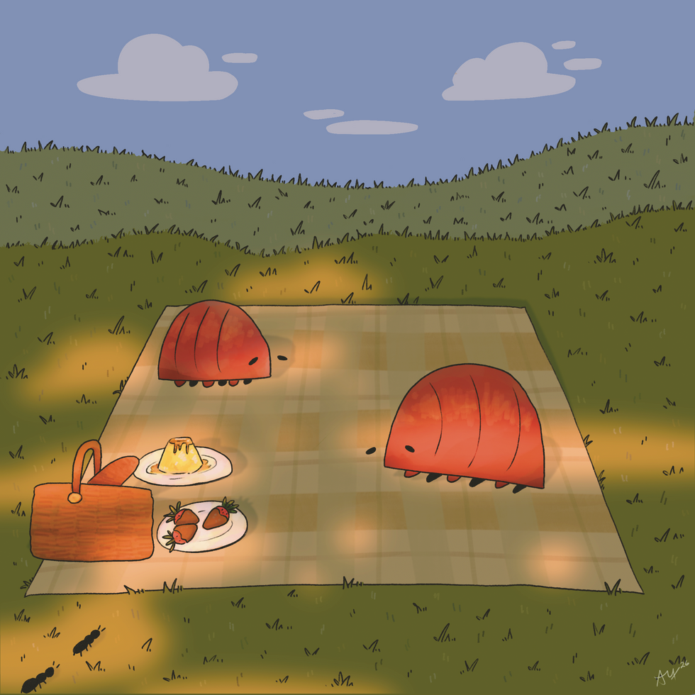 picnic time