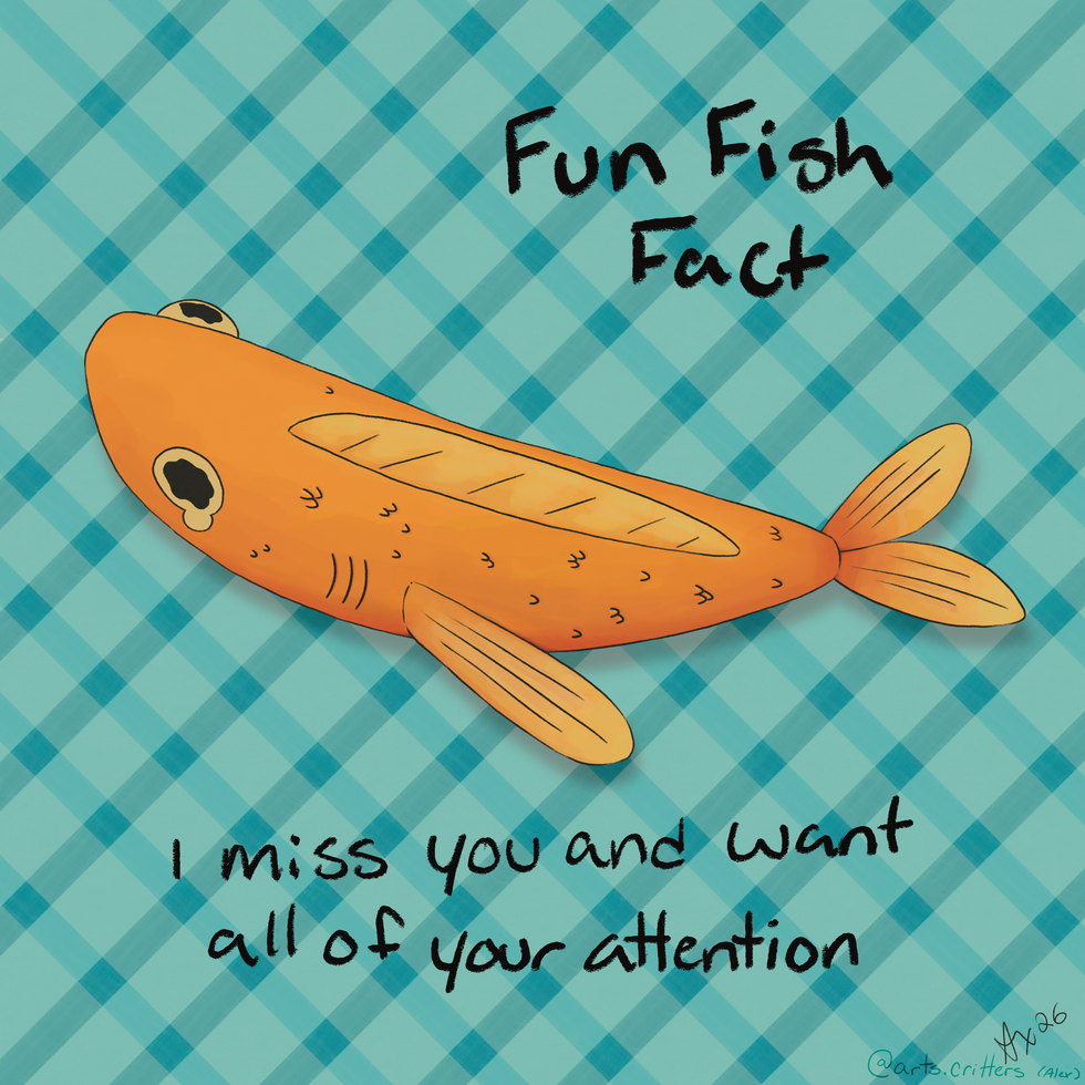 FISH FACT!!!!